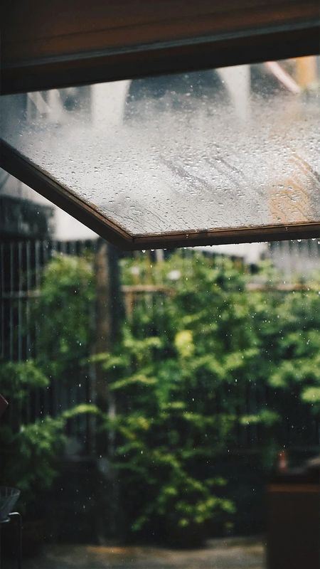 Why Doesn't Tea Brewed on a Rainy Day Smell as Good?-1