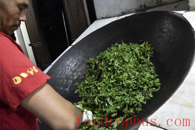 What details should be paid attention to during the fixation process of Pu'er tea?-1
