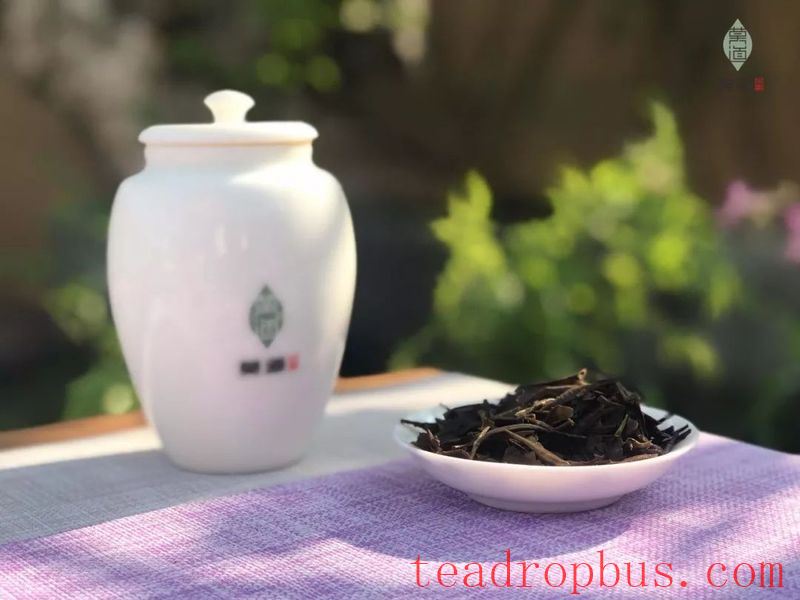 Hold a Cup of Fragrant Tea, Keep a Moment of Tranquility-2