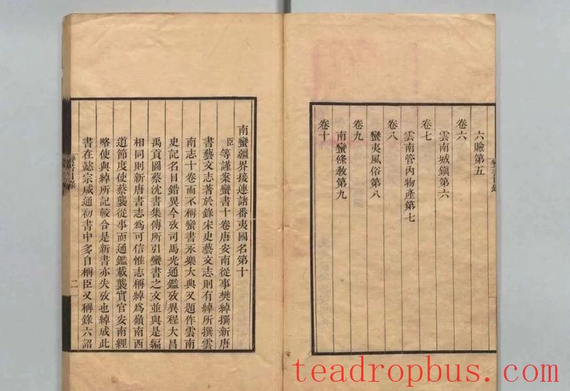 Wandering Through Jingdong's Time-Honored Ancient Tea Mountains: The Wuliang Mountains-4