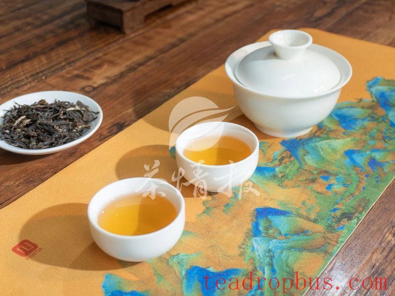 Brewing Tea on a Rainy Day: Tips and Tricks to Remember!-6
