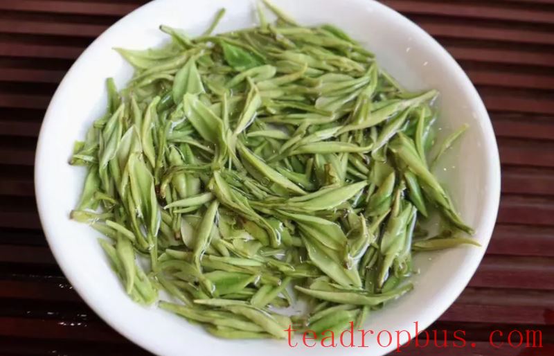 Green Tea Pot Drinking Method, Is Drinking Green Tea Good?-4