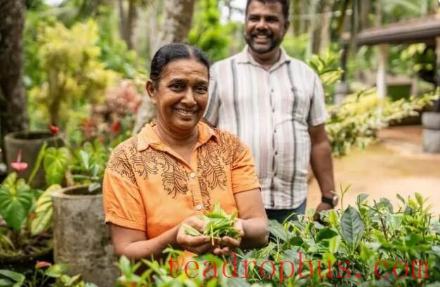 Coffee and Tea: New Ties in Trade Between China and South Asia-1