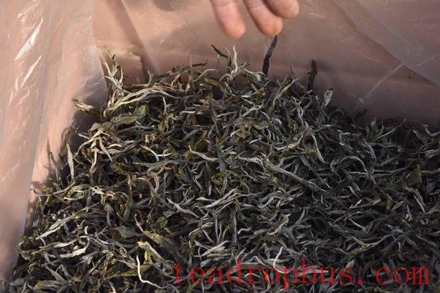 Purpose of Blending Pu'er Tea-2