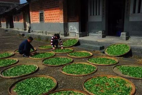 Tiegeluan's Complex Process Yields Extraordinary Quality-2