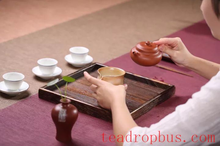 Does faster drying of a purple clay teapot after watering indicate better quality clay?-4