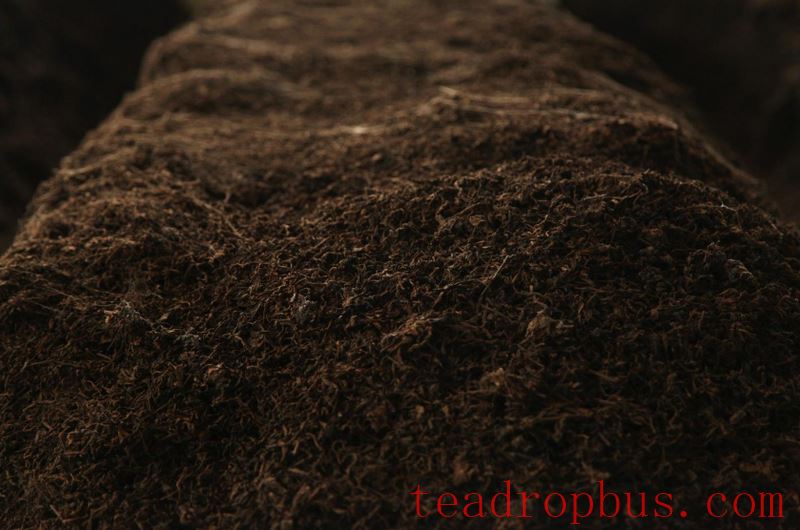 How long does the fermentation time for ripe Pu'er tea last?-2