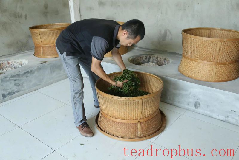 Intangible Cultural Heritage of Humanity: Traditional Chinese Tea Processing Skills - Oolong Tea Chapter — Wuyi Rock Tea (Da Hongpao)-8