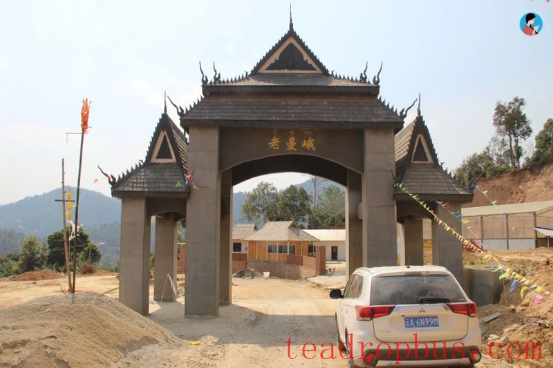 How Can One Claim to Love Tea Without Understanding Bulang Mountain?-2