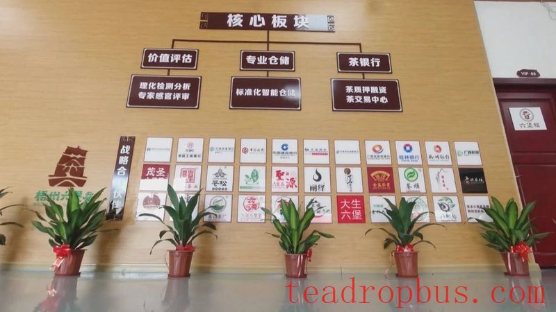 Wuzhou: Quality Brands Empower the Upgraded Development of Liubao Tea Industry Chain-7