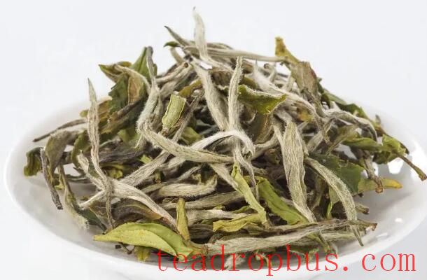 A Complete Guide to Brewing White Tea! No More Worries About Brewing-2
