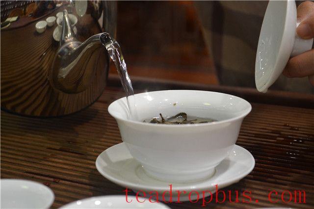 Airing the Tea: An Essential Step for True Taste in Aged Pu'er Tea-4