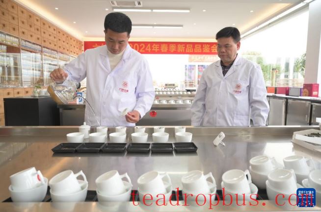Fujian's Mountains Yield Tea Leaves, Scent Travels Thousands of Miles-12
