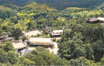 The People's Daily Overseas Edition Praises Pu'er Jingmai Tea: A Journey Through Jingmai Mountain with the Fragrance of Tea Traveling Far and Wide-2