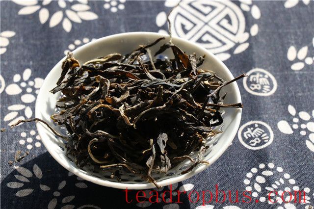 Pasha Ancient Tree Tea: Which Tea Region Does It Belong To?-2