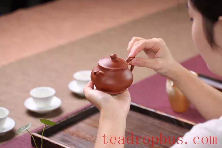 Does faster drying of a purple clay teapot after watering indicate better quality clay?-3