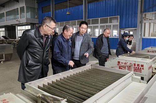 Chongqing Agricultural Technology General Station's Tea Experts Conduct Research and Guidance on Spring Tea Production-1