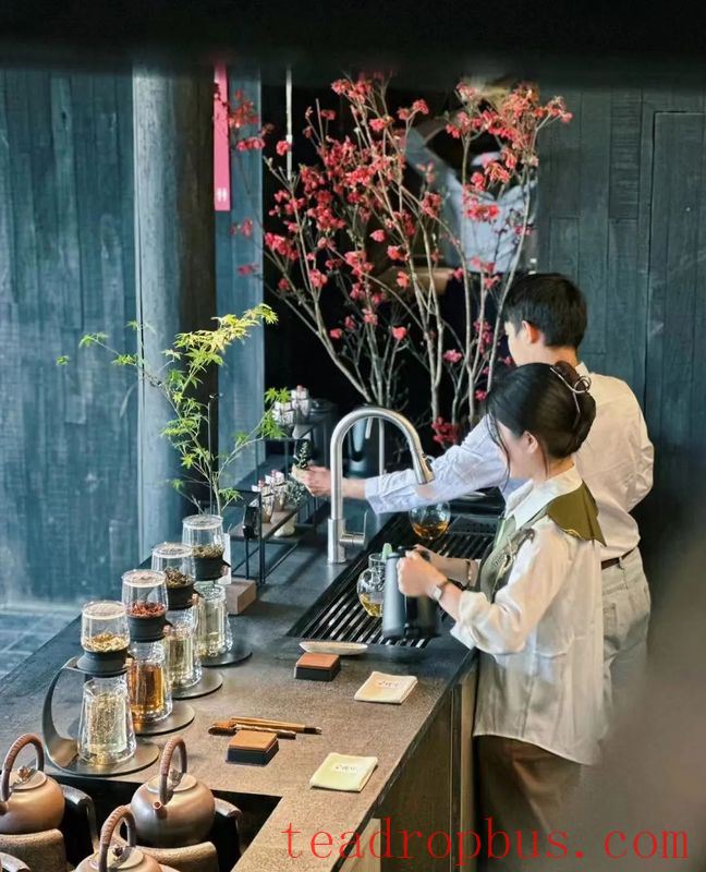 New Chinese Tea Ware, the Art of Tea Appreciation-10