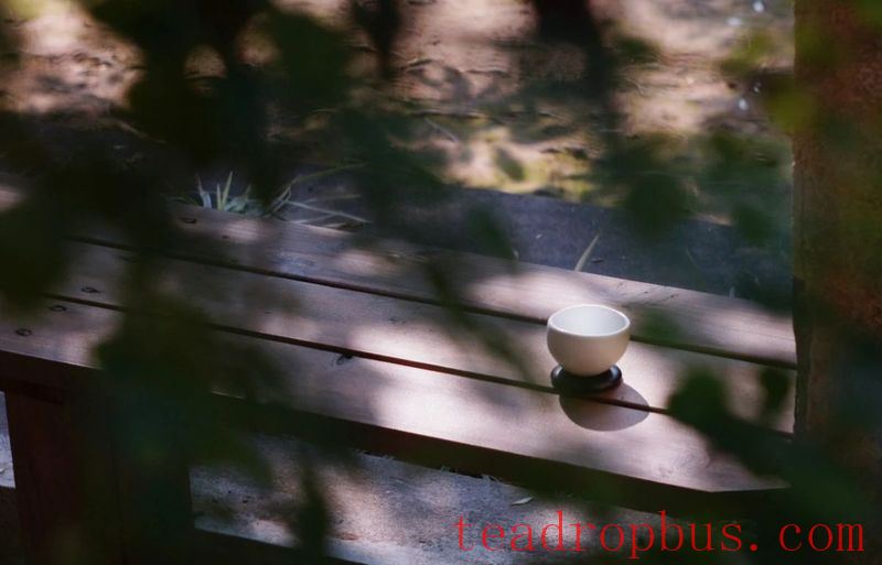 Heat in the Dog Days, First Choice is This Tea! The Entry Code is “2346”…-6