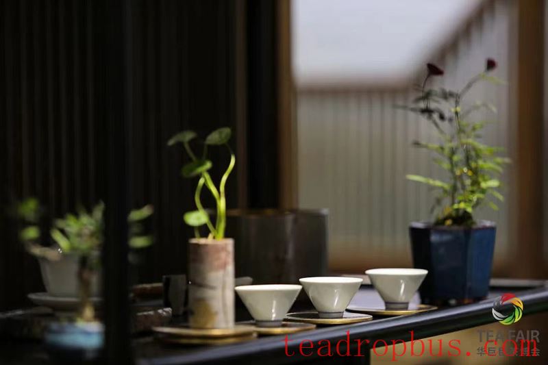Three Uniquenesses of Drinking Tea in Autumn, Do You Know?-7