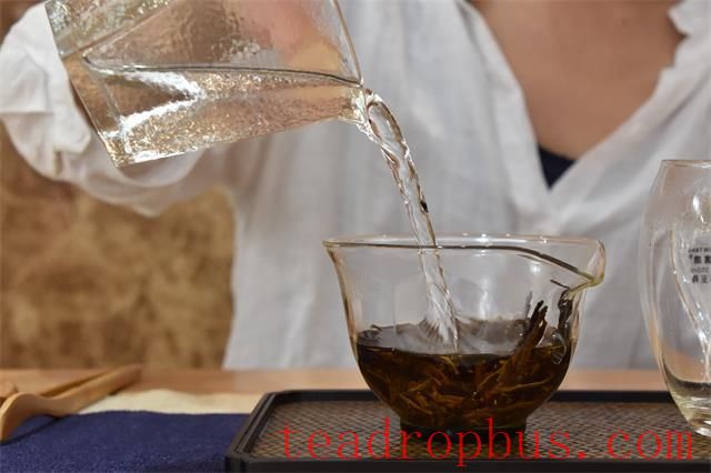 Brewing Techniques for a Better-Tasting Black Tea-1