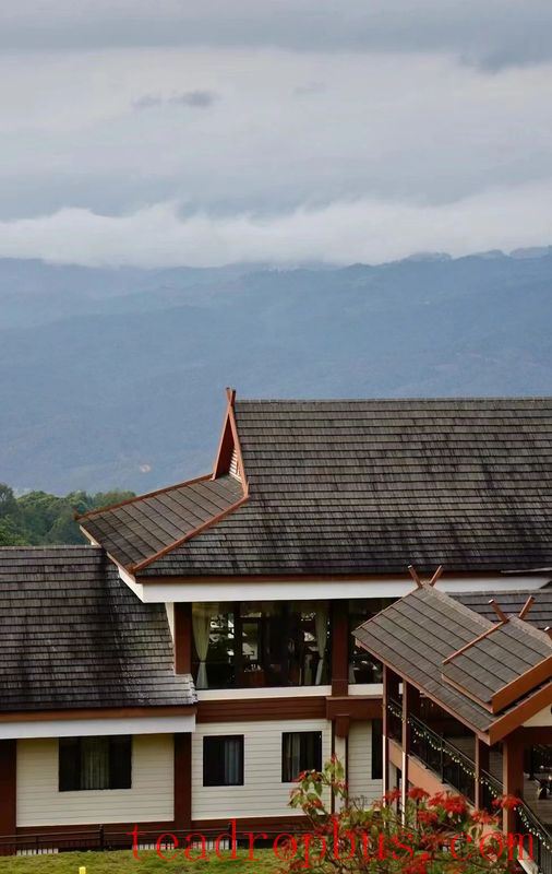 June Stretches Long, Meeting the Boundless Green of the He Kai Tea Garden-7
