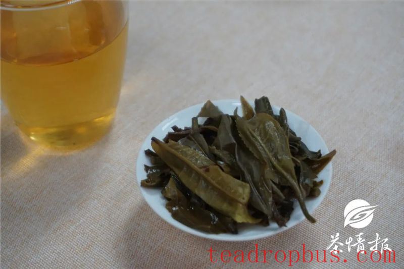 What Tea to Drink When You Stay Up Late? World Cup Tea Drinking Health Guide-5
