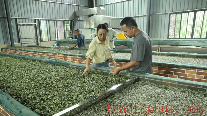 Renhua County Hosts the 