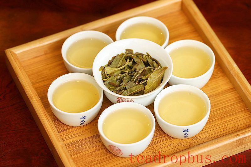 How to Brew a Perfect Cup of Pu'er Shengcha?-3