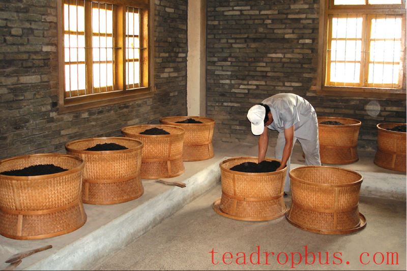 Intangible Cultural Heritage of Humanity: Traditional Chinese Tea Processing Skills - Oolong Tea Chapter — Wuyi Rock Tea (Da Hongpao)-9