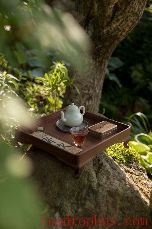 Planting Spring, Enjoying the Aroma of Tea-3