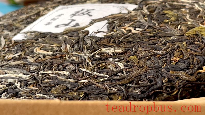 Features of Banshan Pu'er Tea and Brewing Method for Banshan Shengcha-3