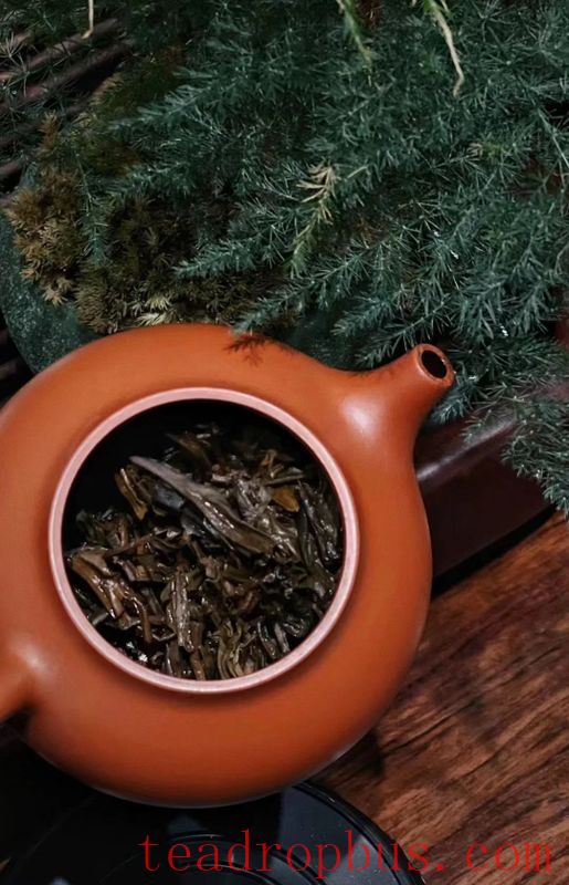 These Teapot Selection Tips Will Help You Choose the Perfect Teapot for You-5