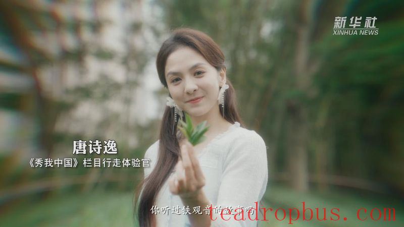 Show Me China: Explore the Hidden Gem City of Tea Fragrance with Tang Shi-Yi-4