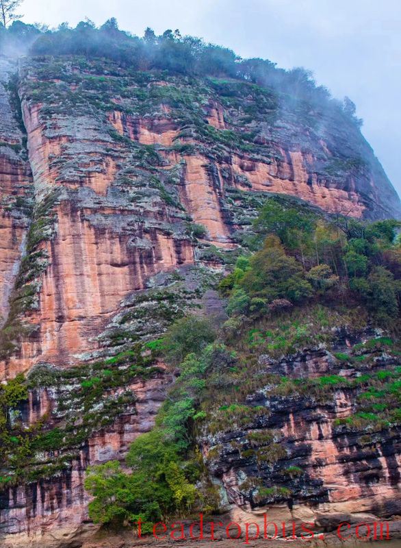 There are more Danxia landforms here than in Wuyishan, and they also produce Yancha!-5