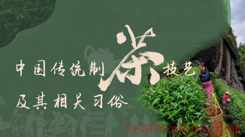 Intangible Cultural Heritage of Humanity: Traditional Chinese Tea Processing Skills - Green Tea Chapter ② —— Ju Rock Tea of Wuzhou, Purple Shoots Tea, Anji White Tea-1