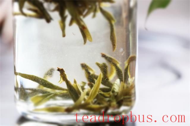 Six Aromas of West Lake Longjing Tea: Which One Do You Love Most?-3