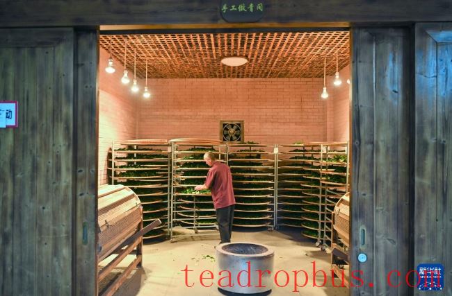 Fujian's Mountains Yield Tea Leaves, Scent Travels Thousands of Miles-13