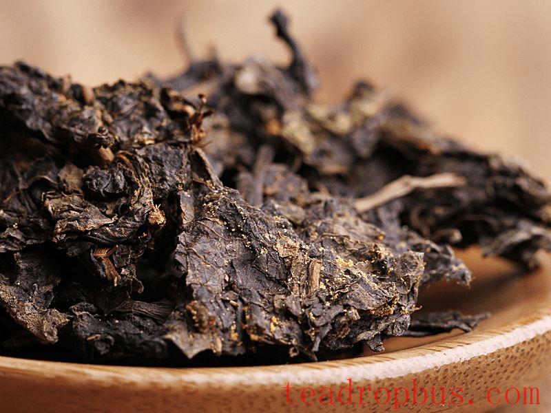 Jingyang Fu Tea Benefits and Effects-1
