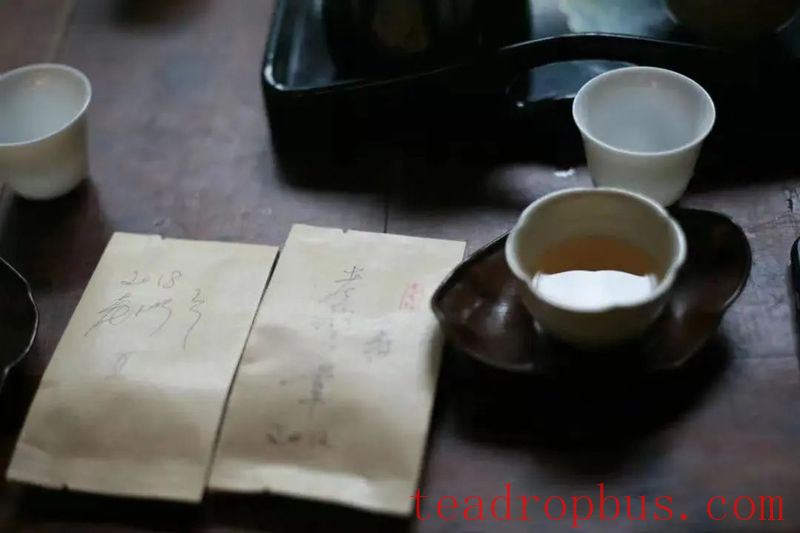 Typhoon Tea-Tasting Guide-9