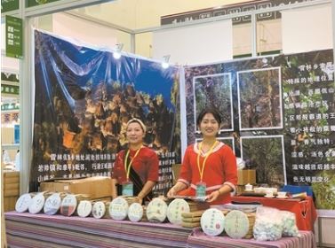 Ye Cong: Returning Home to Build Dreams and Spread the Aroma of Tea Far and Wide-1