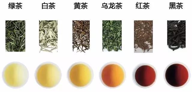 Tea Brewing Temperature Guide: Perfect Every Cup-2