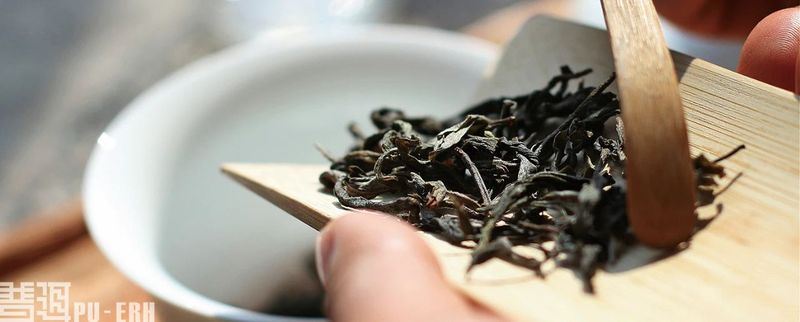Tea Brewing