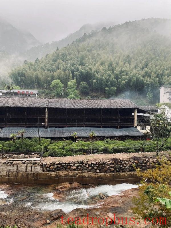 The Unique Ecological Environment of the Core Producing Area of Zhengshan XiaoZhong, the Ancestor of Black Tea-8