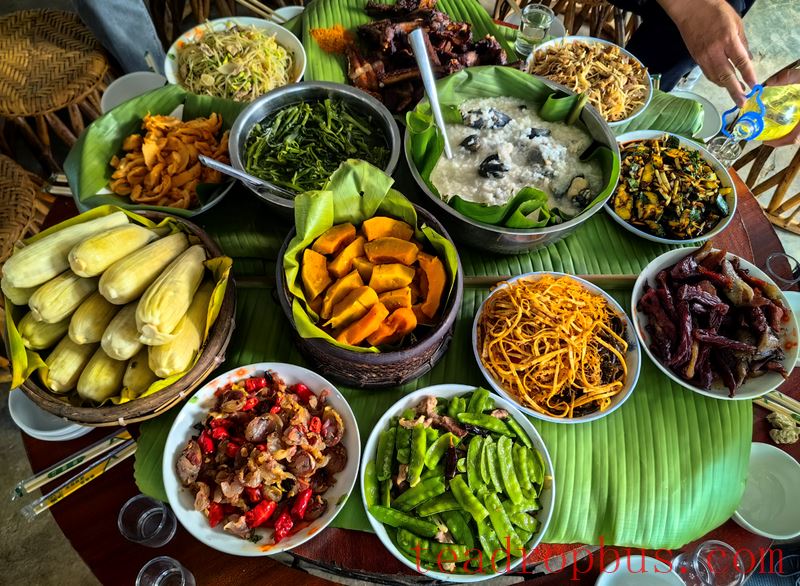 Come to Yunnan, and Experience the Unique Charm of Tea-11