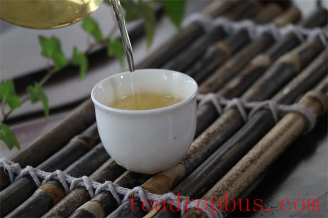 A Beautiful Life Starts with a Cup of Tea-1