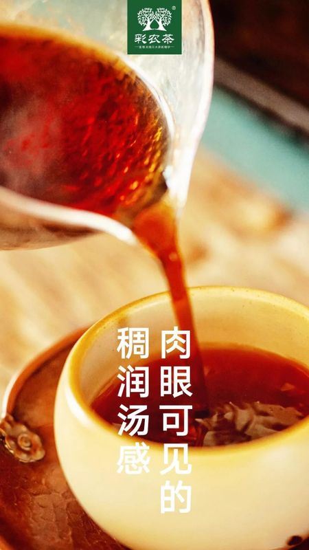 Cainong Tea: Tasting Pu'er - Drinking in Moderation-2