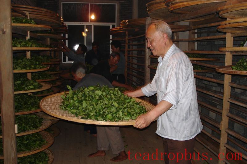 Intangible Cultural Heritage of Humanity: Traditional Chinese Tea Processing Skills - Oolong Tea Chapter — Wuyi Rock Tea (Da Hongpao)-5
