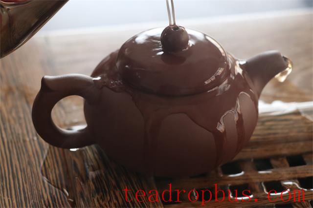 How to Properly Brew Aged Pu'er Tea?-1