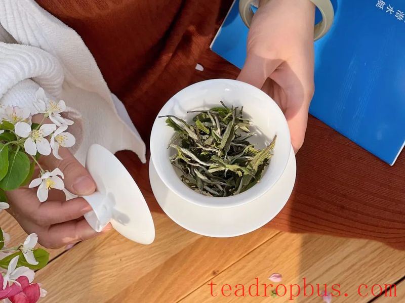A Cup of Tea, A Moment of Insight: Knowing Tea as You Would Know a Friend-2